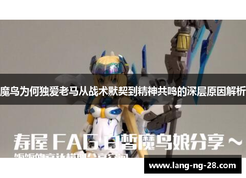 魔鸟为何独爱老马从战术默契到精神共鸣的深层原因解析