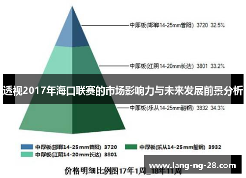 透视2017年海口联赛的市场影响力与未来发展前景分析